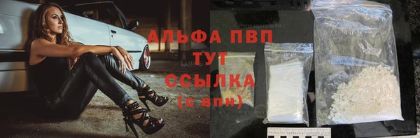 хмурый Алзамай