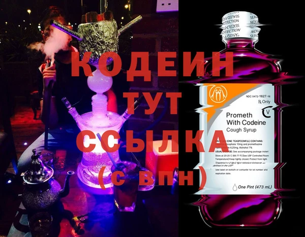 хмурый Алзамай
